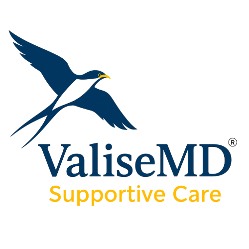 ValiseMD logo